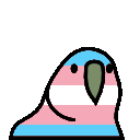 Trans Flag