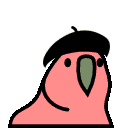 Beret Parrot