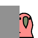 Glimpse Parrot